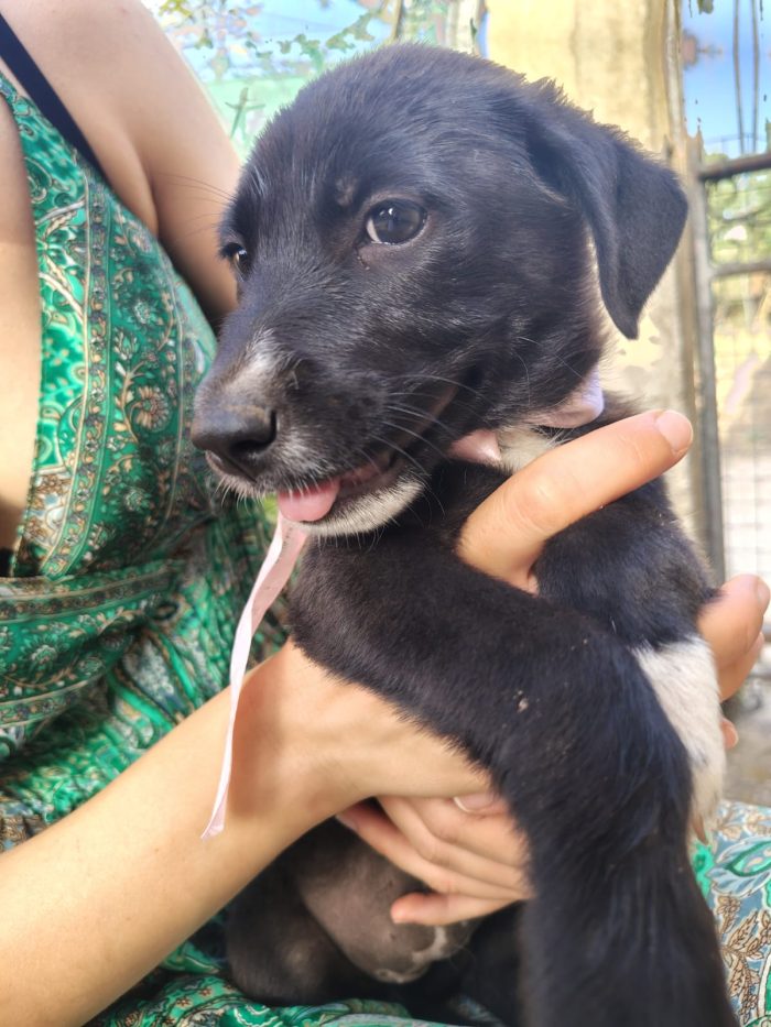 Leila quasi 3 mesi