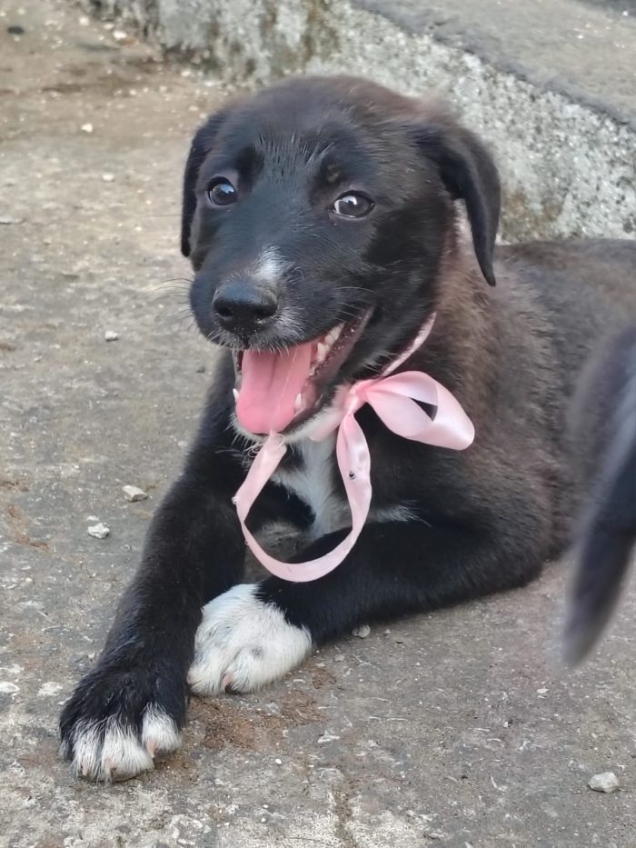 Leila quasi 3 mesi