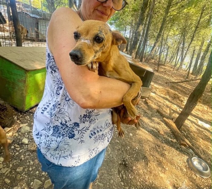 Sissi merita la felicità