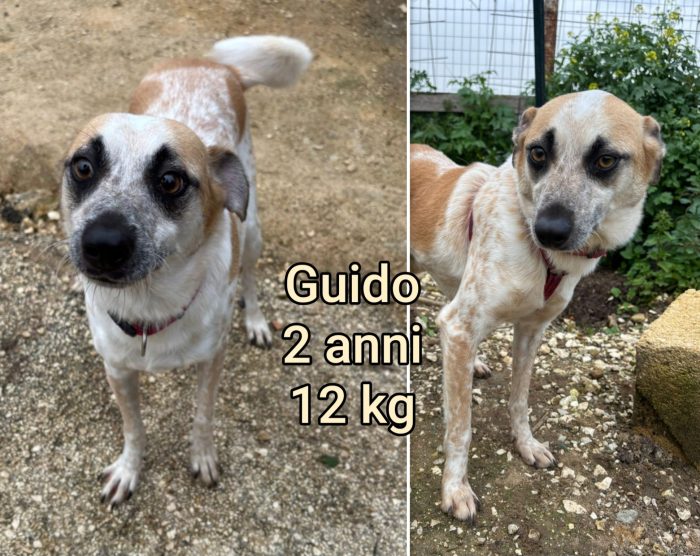Piccoli in cerca di famiglie amorevoli