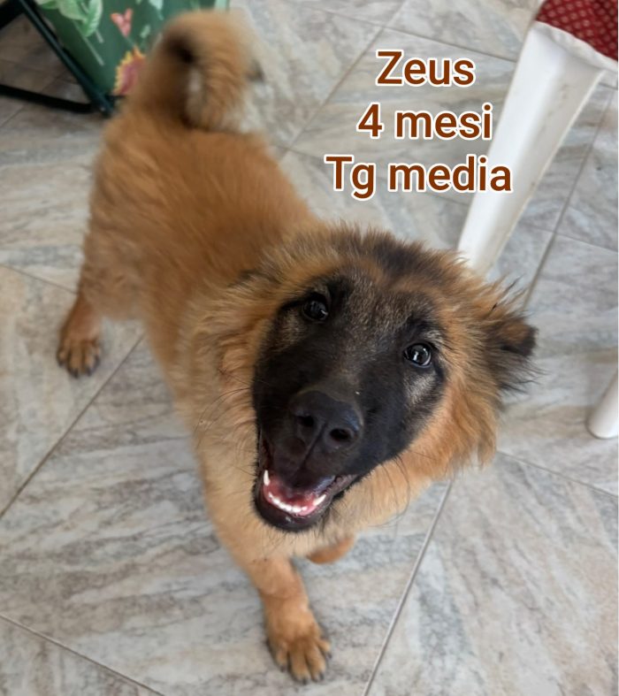 Invisibili cuccioli! 2/3 mesi
