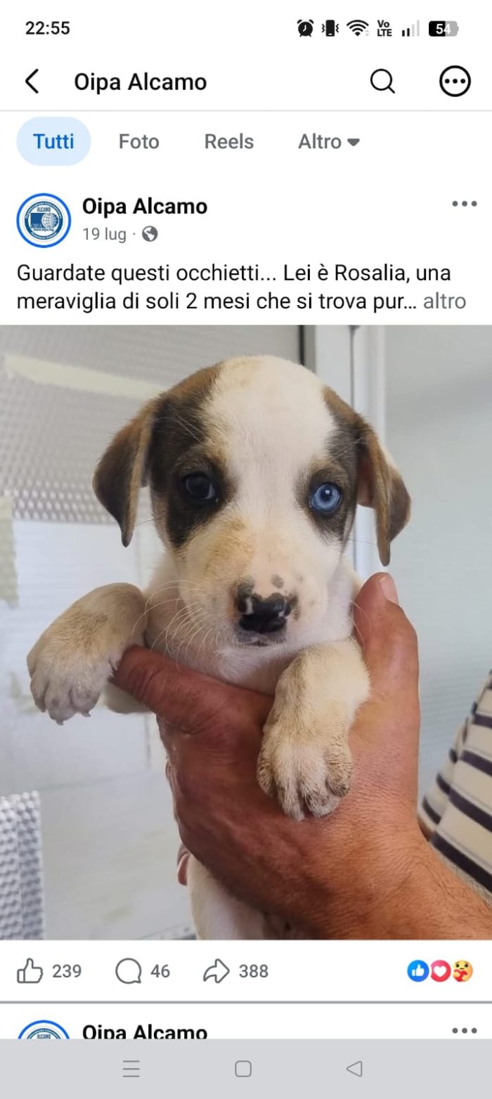 2 mesi la pagina dà 7 mesi ma è sbagliato
