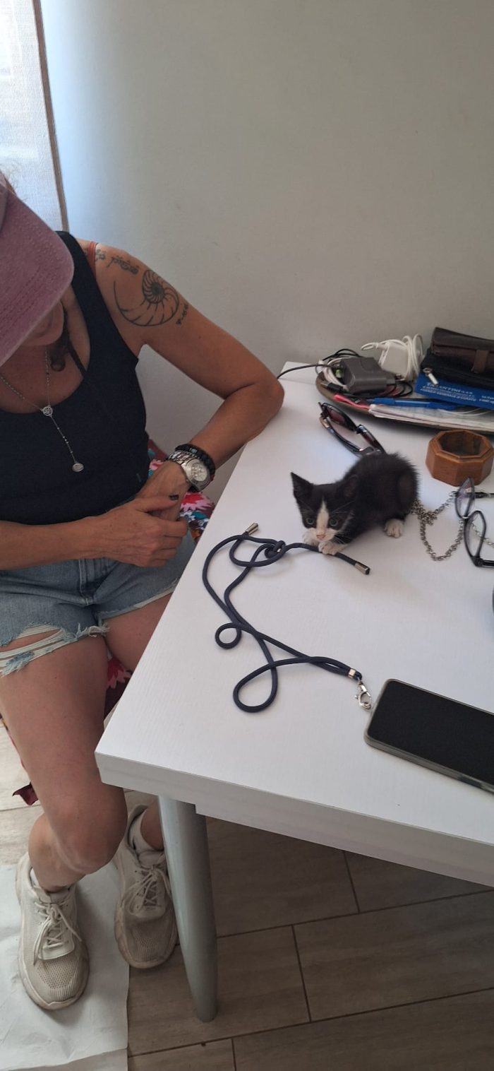 Whisky, un piccolo batuffolo - media 4