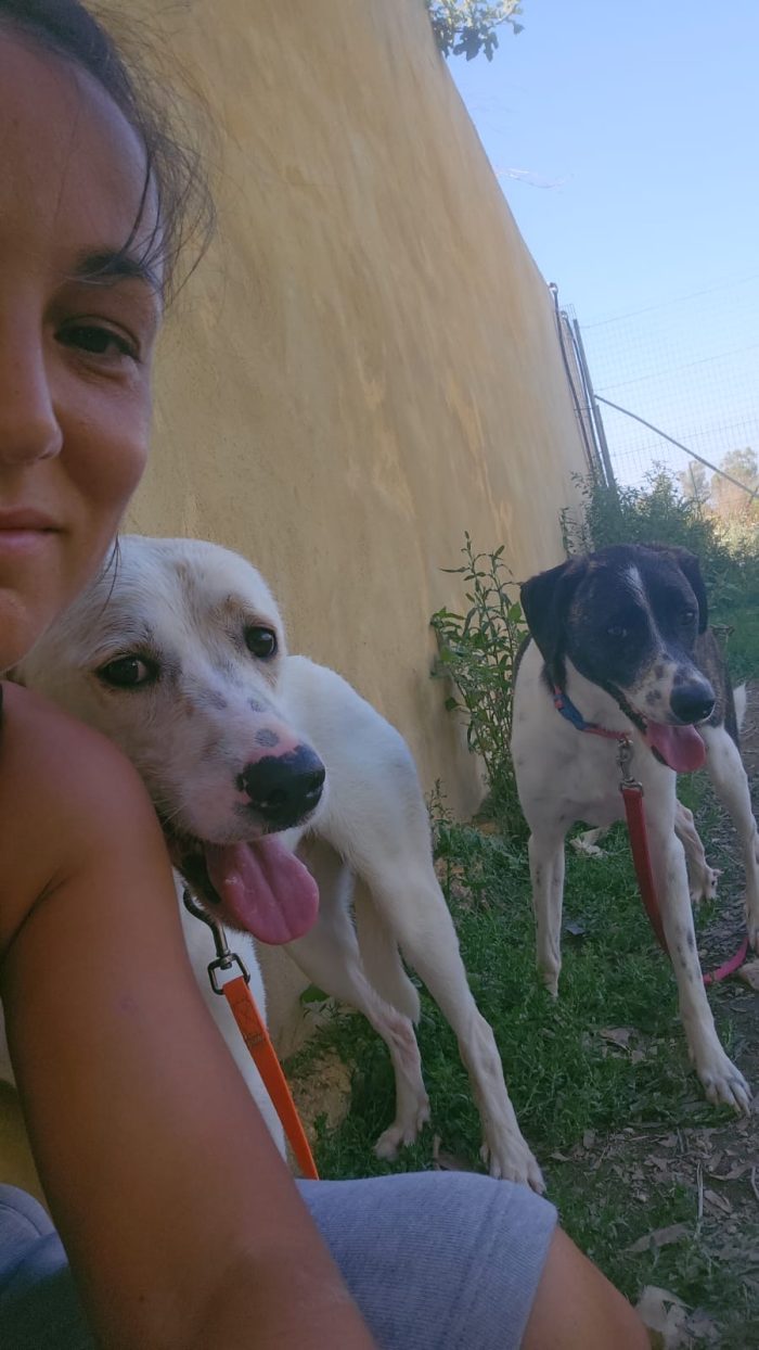 Kira splendida giovane cagnolina cerca casa - media 8