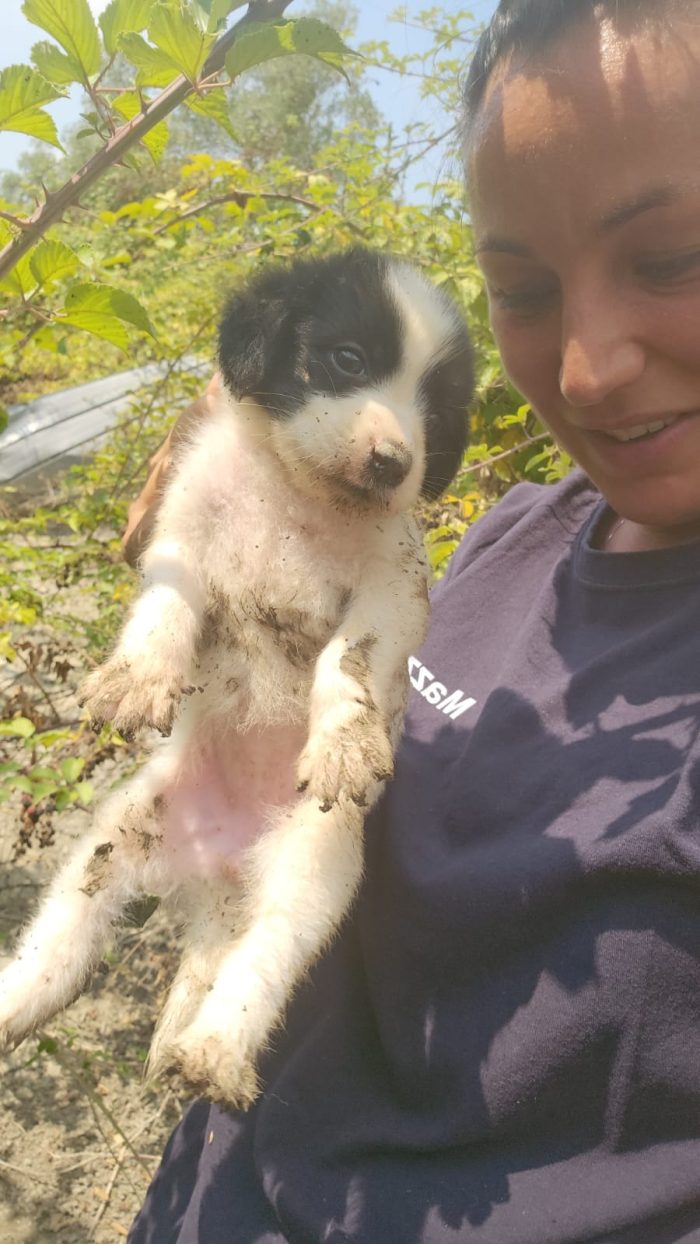 Luisa: 2 mesi taglia contenuta. - media 6