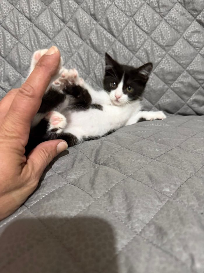 FELICIA 3 mesi dolcissima
