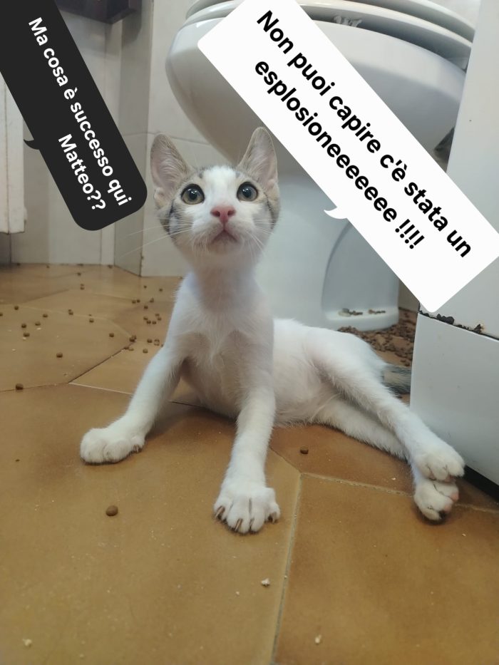 meraviglioso e dolcissimo fusone e buono