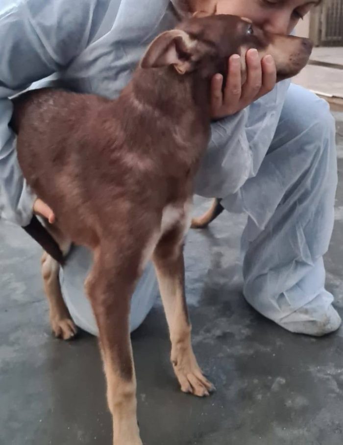 Nutella, cucciolo buonissimo