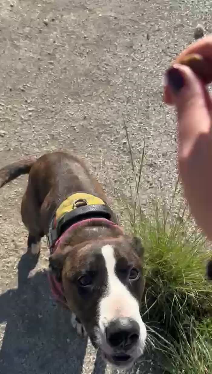 Nina dopo tanta sofferenza adesso merita una casa