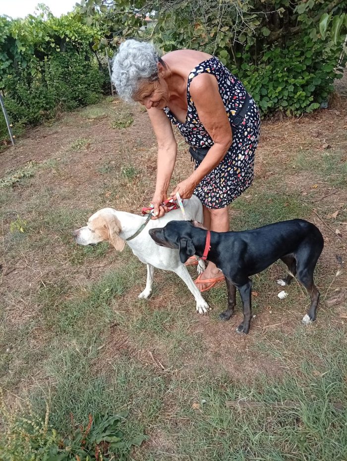 🖤 BLUE, L’UNICA DELLA CUCCIOLATA A NON ESSERE ANCORA STATA SCELTA 💔 - media 8