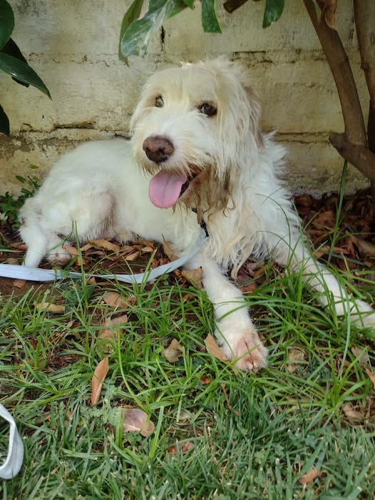 Ettore