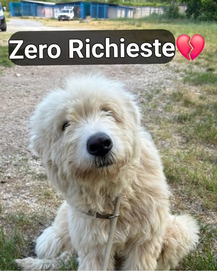 Valentino 8anni salvato dall alluvione CALABRIA