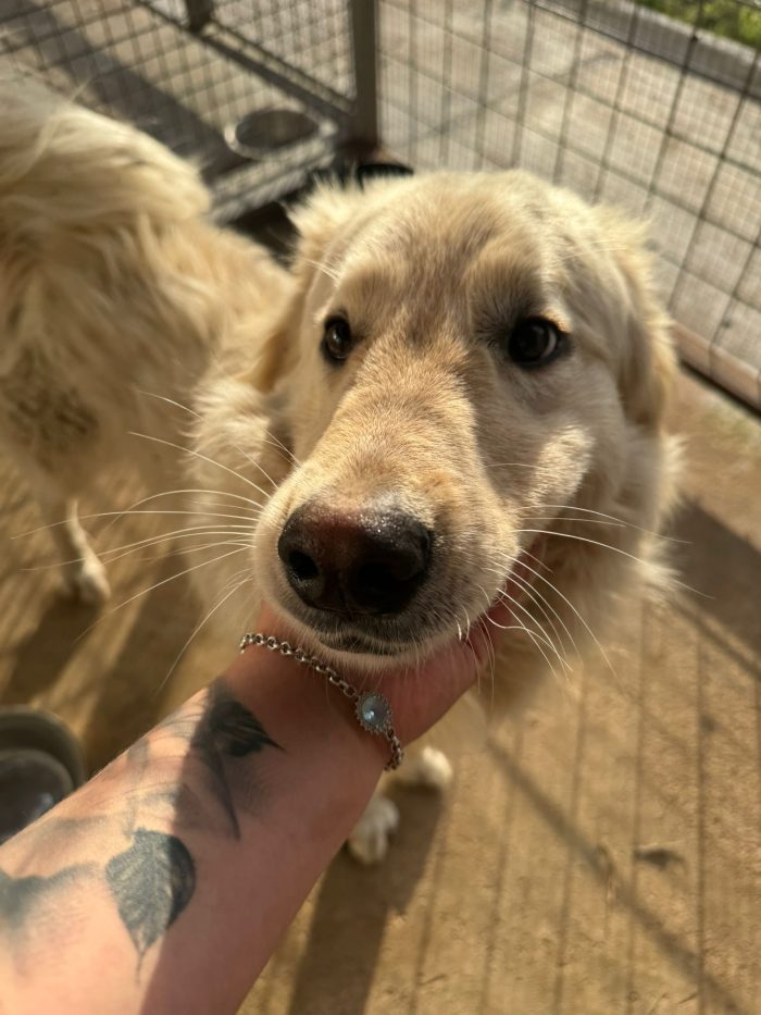 Spendfito Eros cerca la sua casa x sempre💙 - media 4