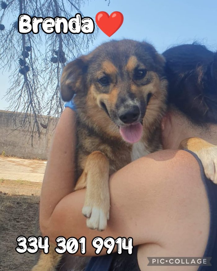 Brenda cerca la sua mamma