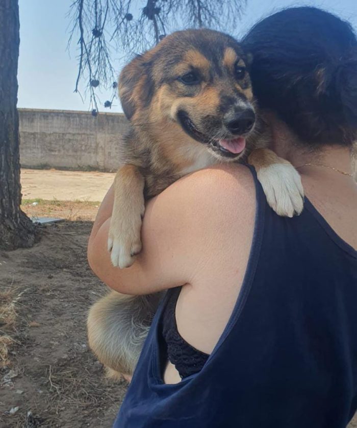 Brenda cerca la sua mamma