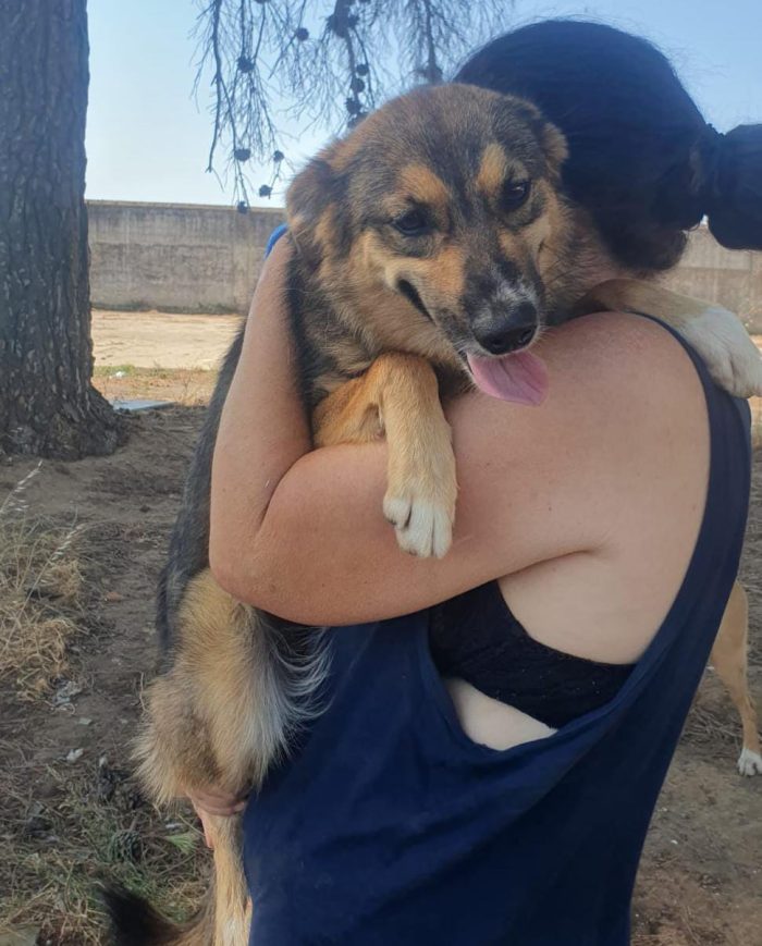 Brenda cerca la sua mamma