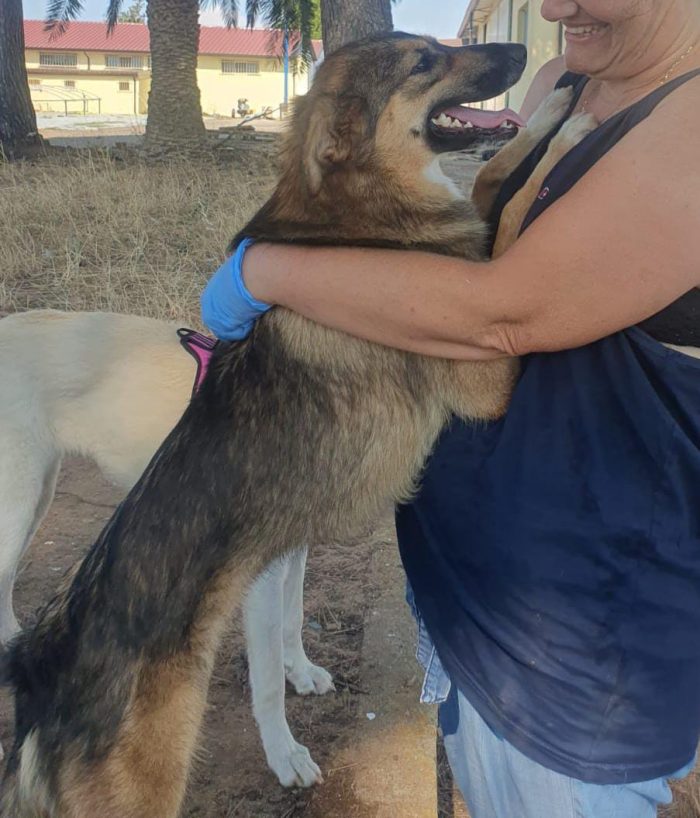 Brenda cerca la sua mamma - media 4