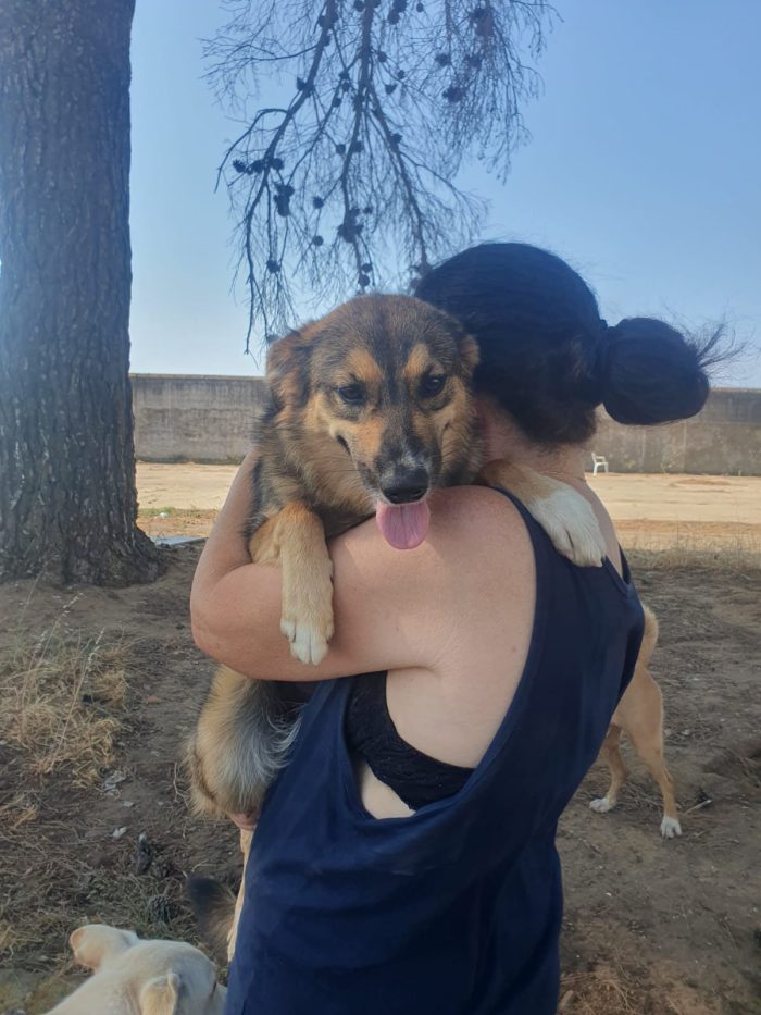 Brenda cerca la sua mamma - media 8