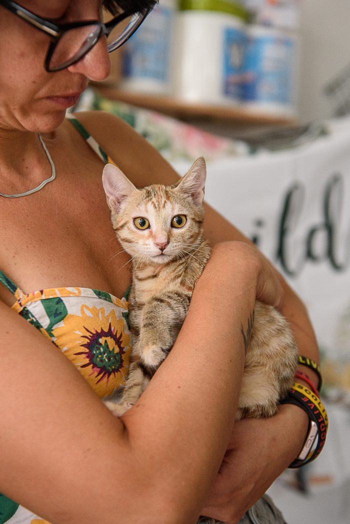 Sharpay, un piccolo miracolo