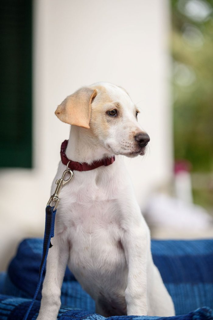 Jasmine dolcissima anche con i bimbi