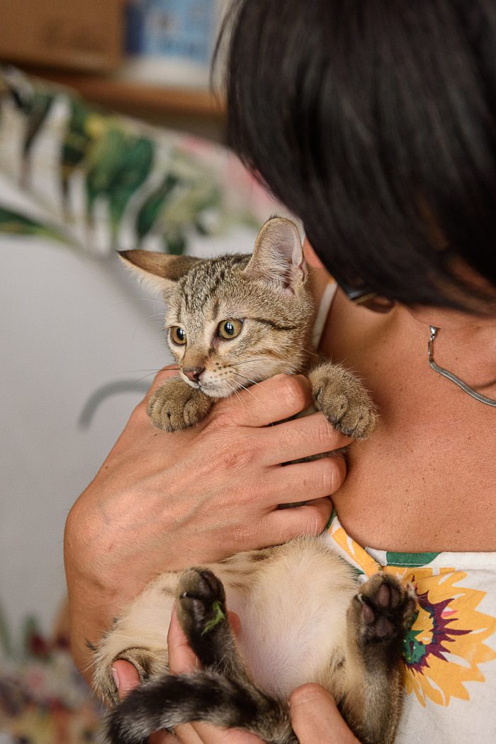 Gabriella dolce e fusona
