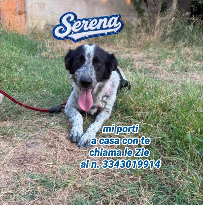 Serena vi aspetta