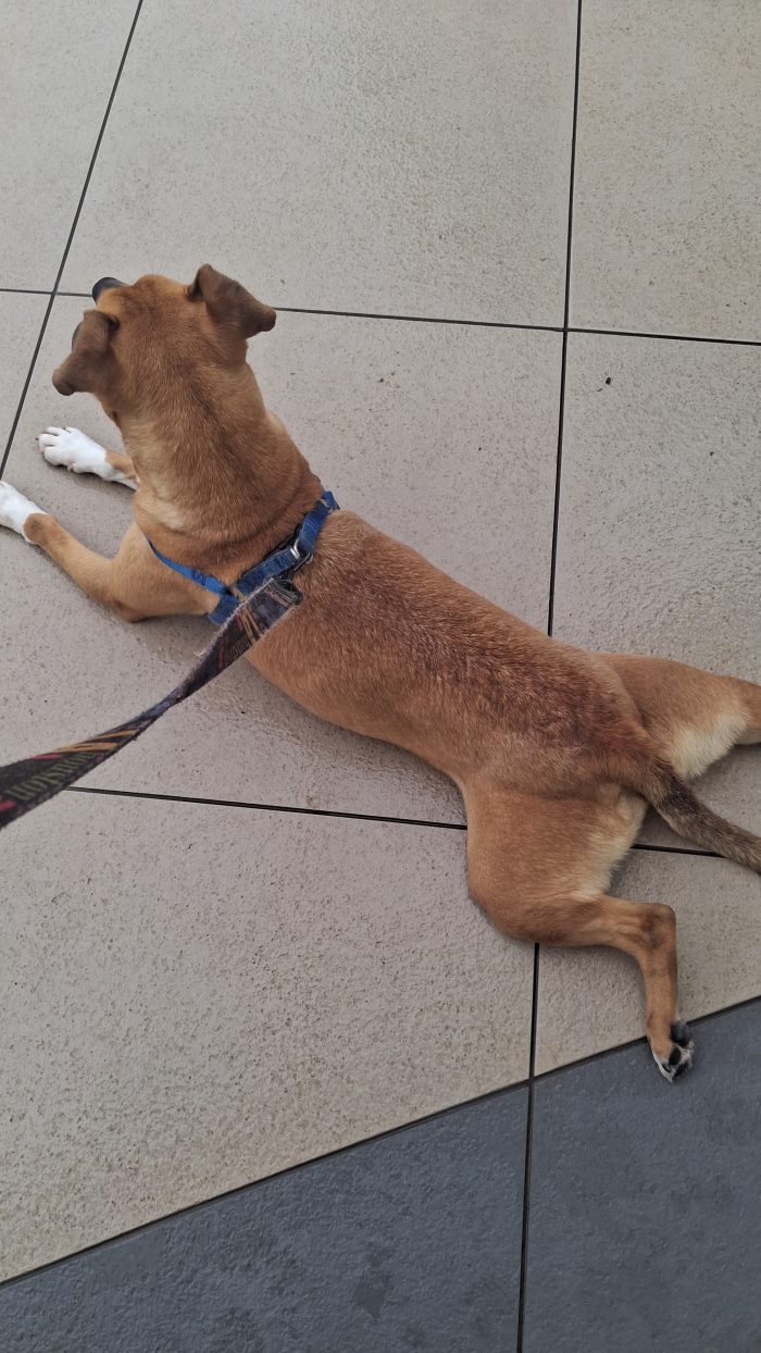 Così piccola e nessuno la guarda