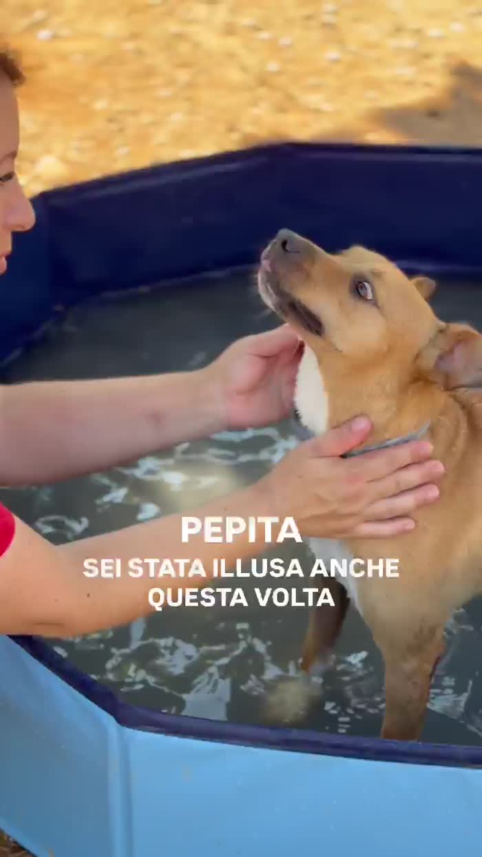Così piccola e nessuno la guarda