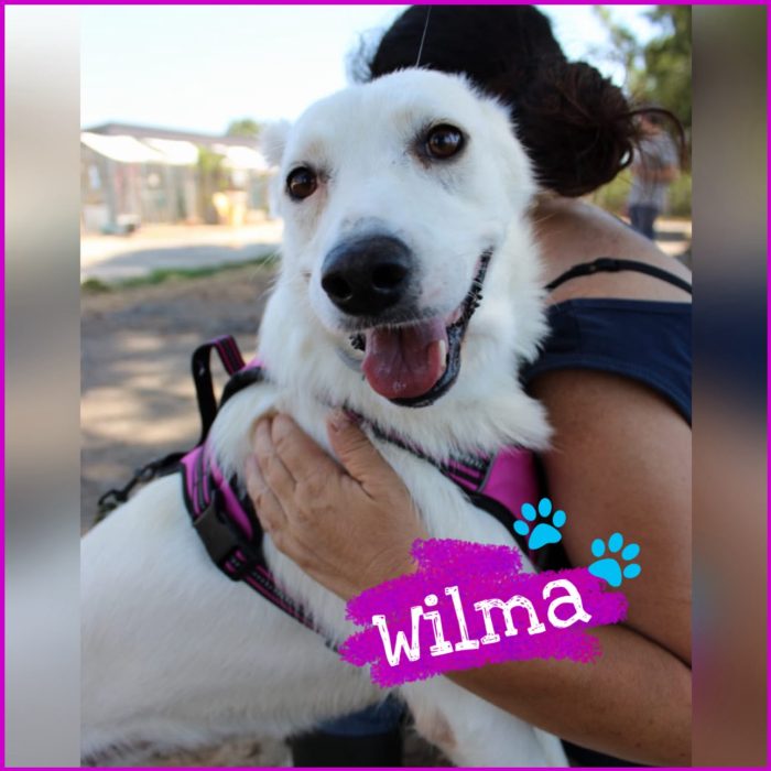 Wilma aspetta paziente la sua mamma