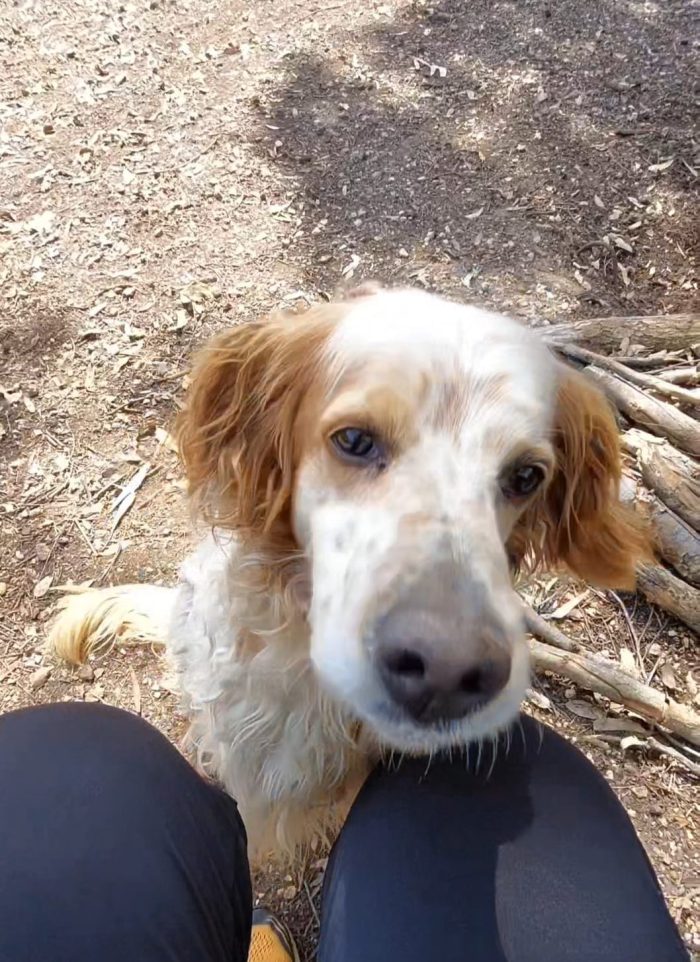 Il suo nome è  una garanzia.. Biscotto