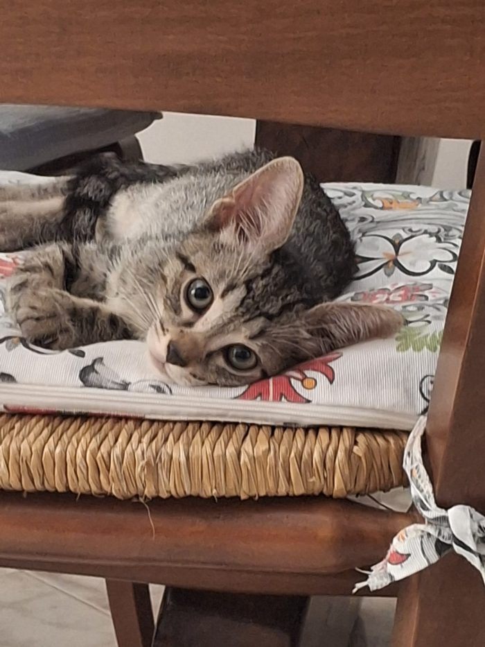2 mesi e 10 gg nato in casa