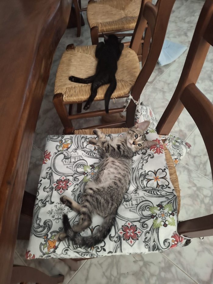 2 mesi e 10 gg nato in casa