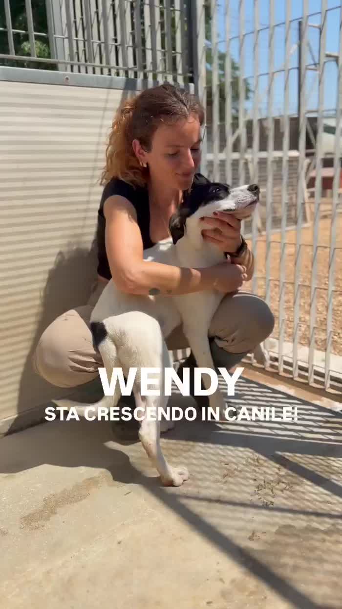 4 mesi e vive in canile