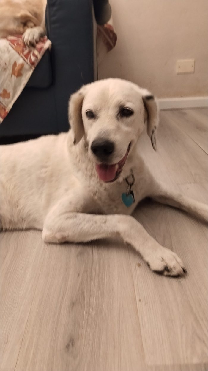 FEDERICO 11 anni di dolcezza