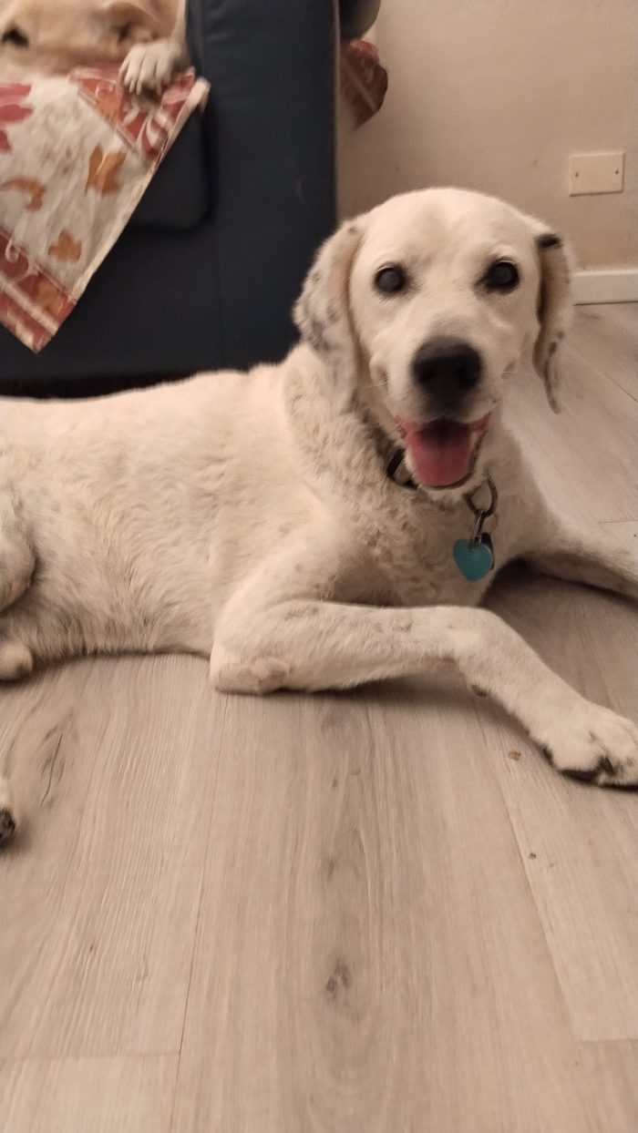 FEDERICO 11 anni di dolcezza