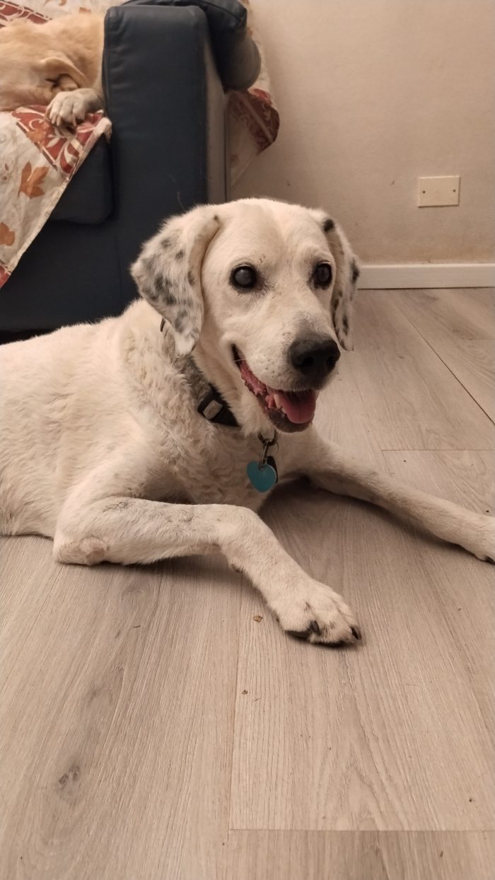 FEDERICO 11 anni di dolcezza