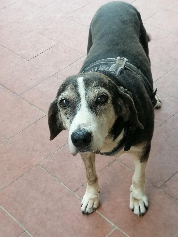 Gemma 💔 14 anni di reclusione