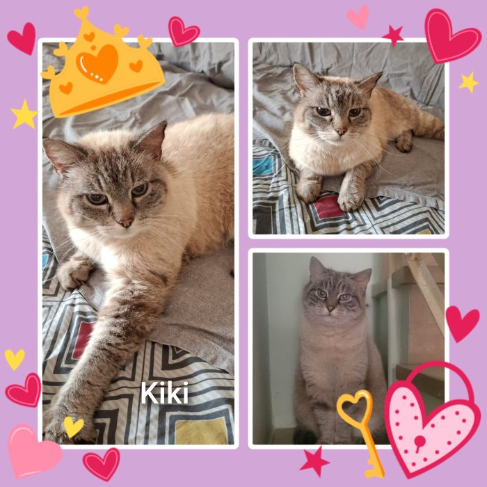 Kiki aspetta una casa