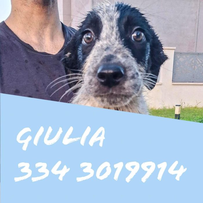 Giulia cerca una famiglia dolcissima