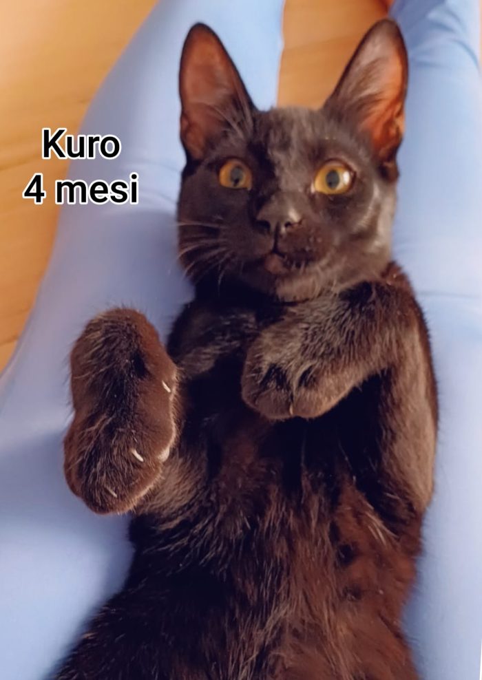 Micetti bisognosi