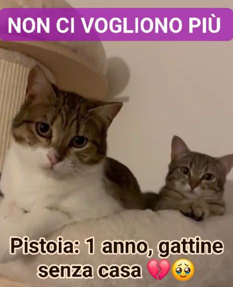 Urgente: non le vogliono più