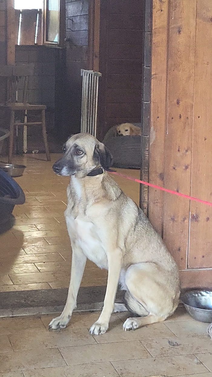 Perla e la sua dolcezza