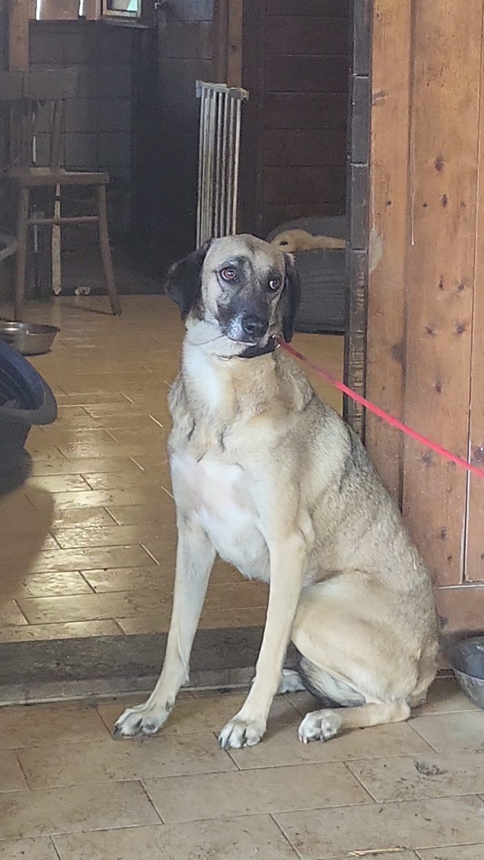 Perla e la sua dolcezza