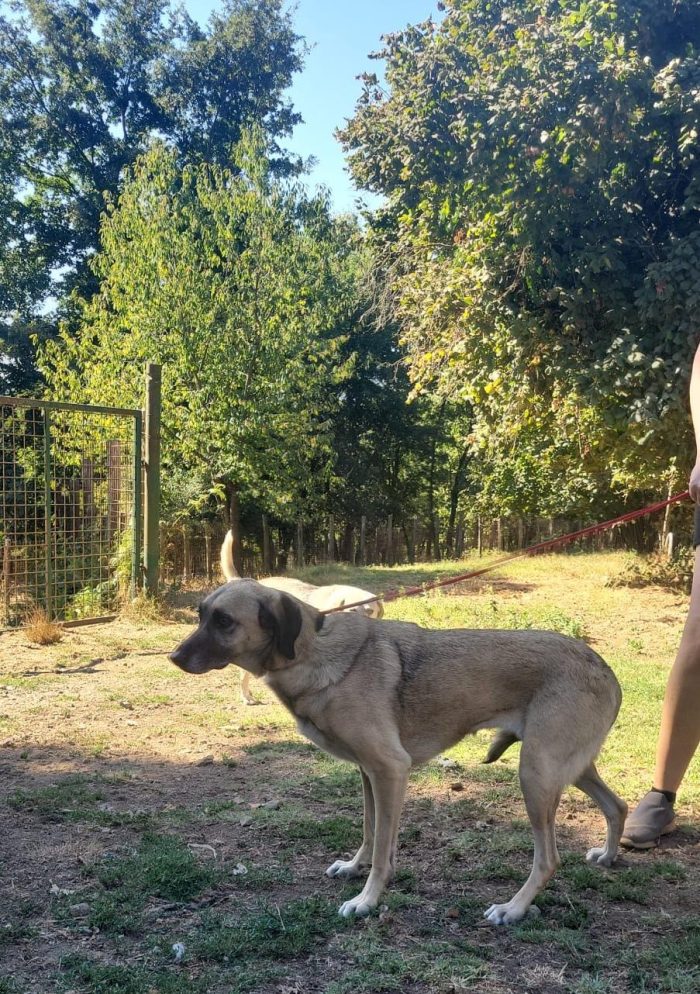 Perla e la sua dolcezza