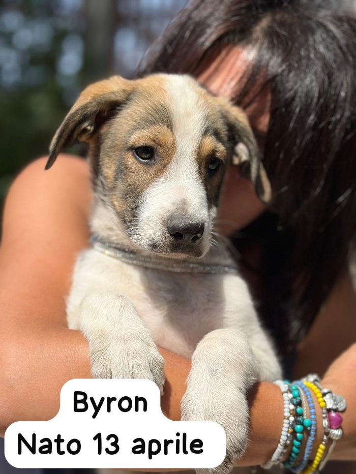 Byron 3mesi e mezzo mollato 1mese fa.SICILIA