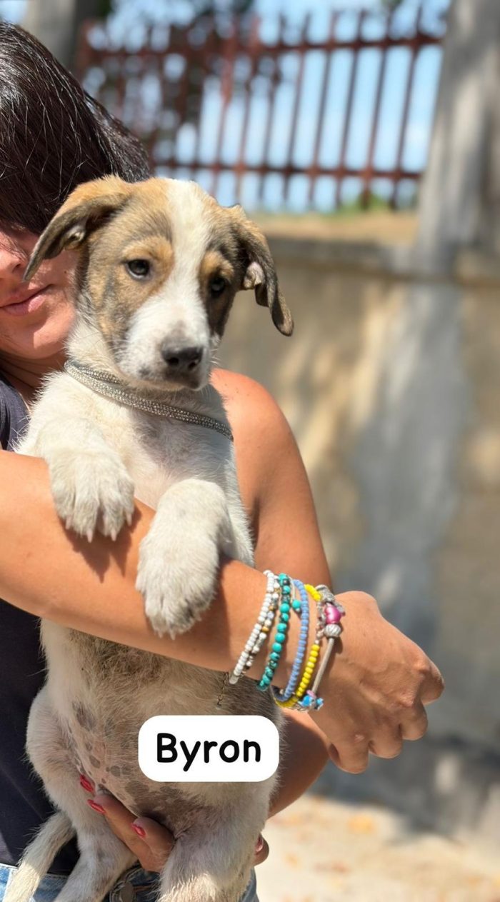 Byron 3mesi e mezzo mollato 1mese fa.SICILIA