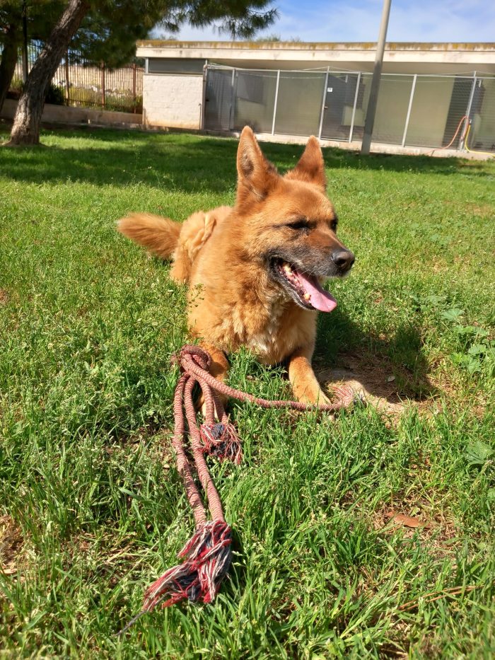 Bea: bellissima giocherellona