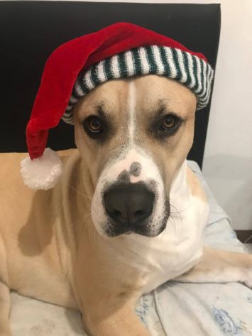 Tyson