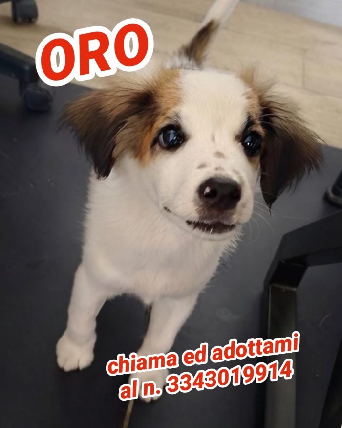 Oro di nome e di fatto
