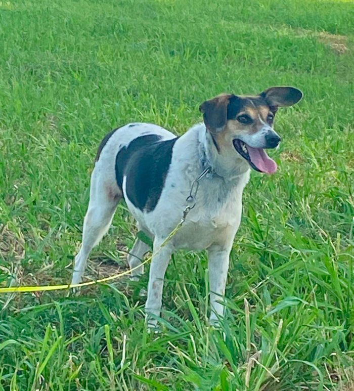 Bea timida e timorosa